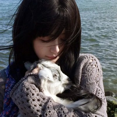 我家的英雄剧版